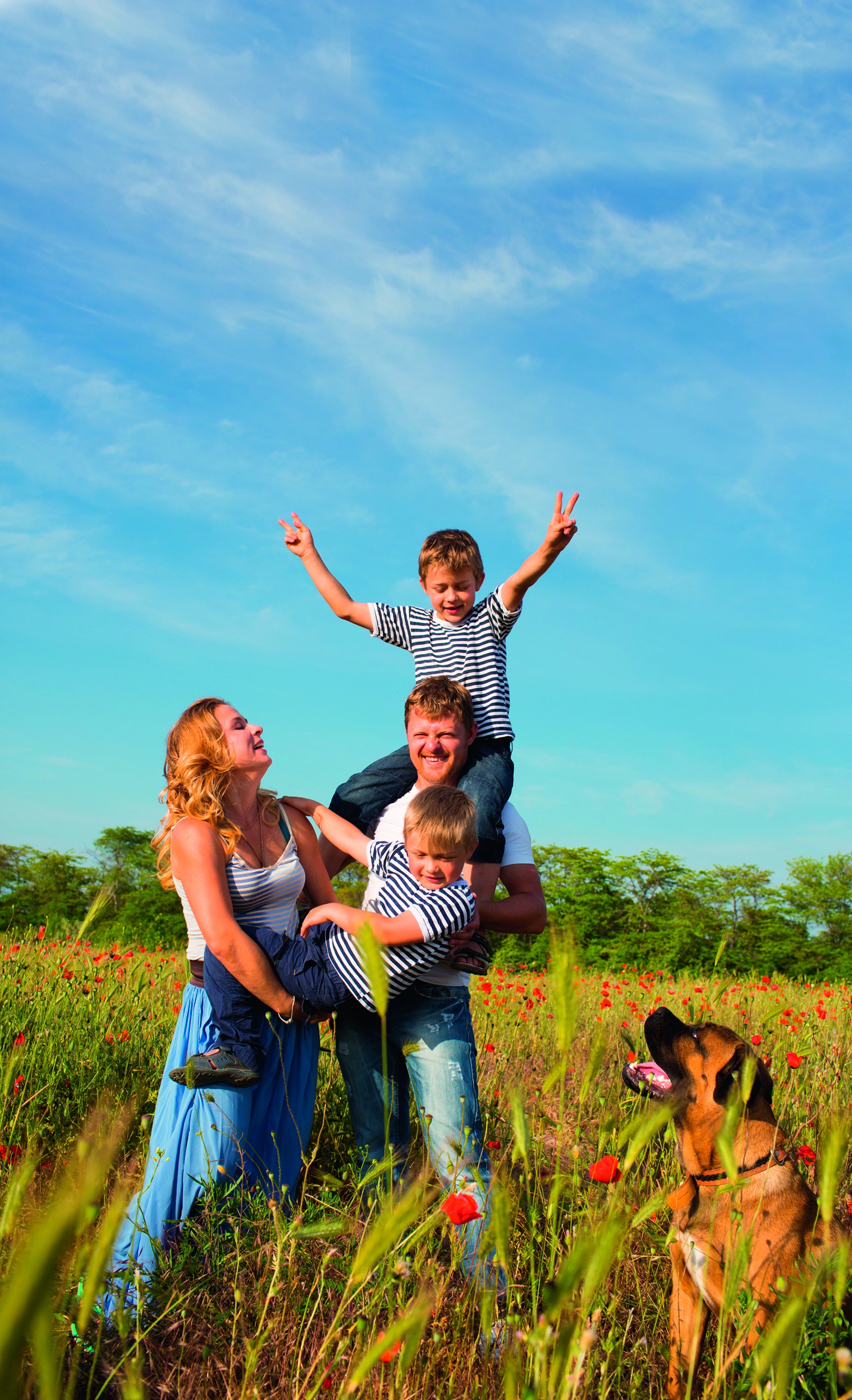 gratis folders en brochures over klassieke homeopathie